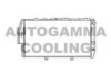 AUTOGAMMA 102026 Radiator, engine cooling